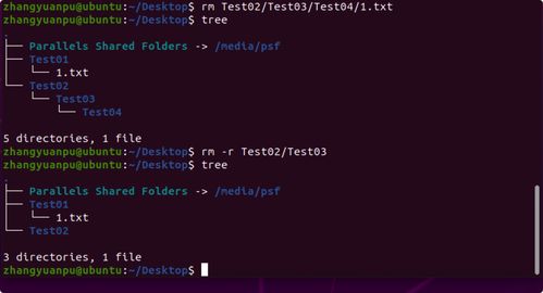 Linux初探 从核心概念到首次启动